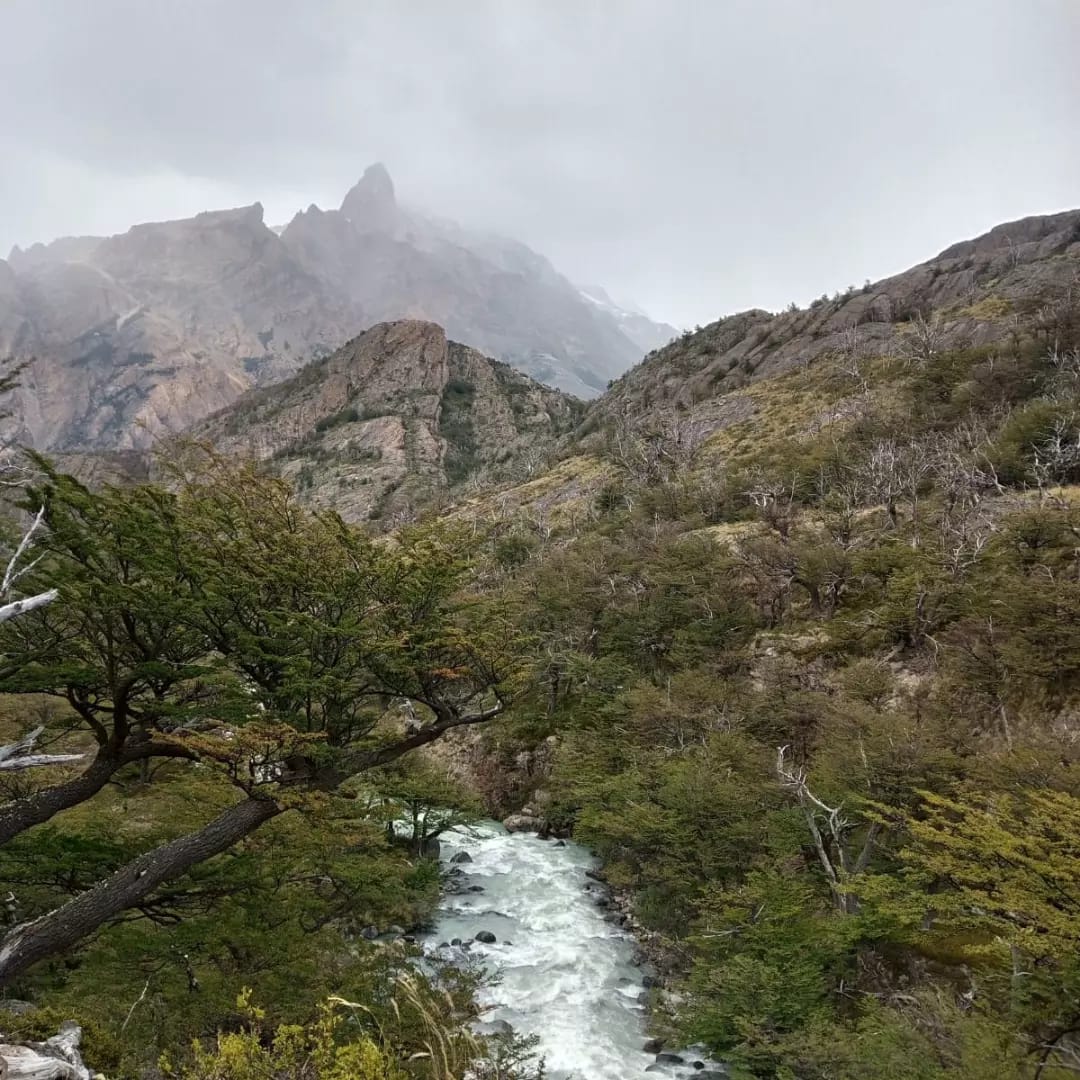 Foto Reserva Los Huemules